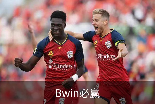 Bwin必赢公司简介